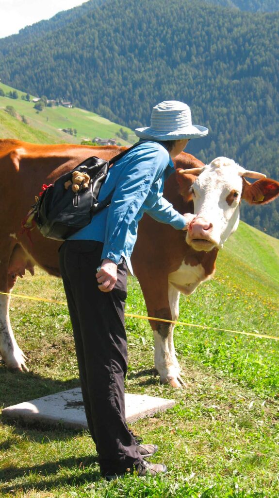 Italy by Design... In the Dolomites