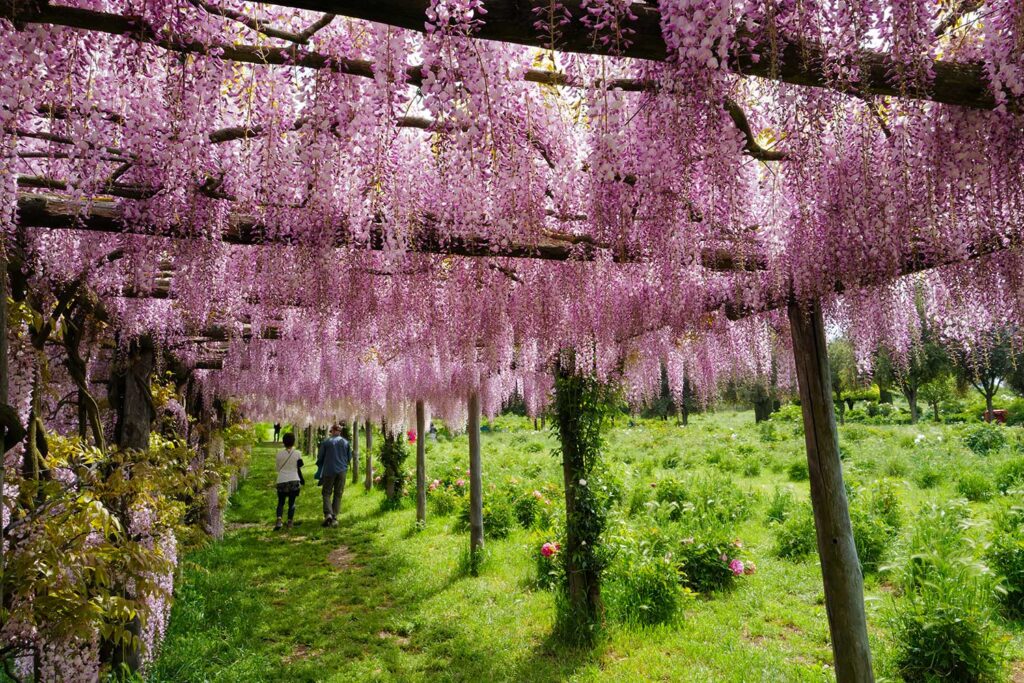 Italy by Design - Made-to-measure tours and experiences in Italy